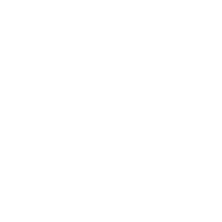 ValoFly - Partner of Vectorbirds airborne systems