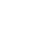 ValoFly - Partner of Vectorbirds airborne systems