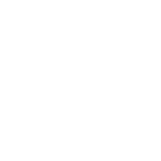 Fraunhofer IWU Institut - Partner ofVectorbirds airborne systems