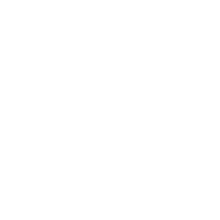 griffity defense - Partner of Vectorbirds airborne systems