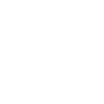 KMW - Partner of Vectorbirds airborne systems