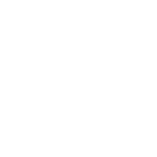 Airbus defense and space - Partner of Vectorbirds airborne systems